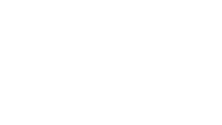 veterans promise logo
